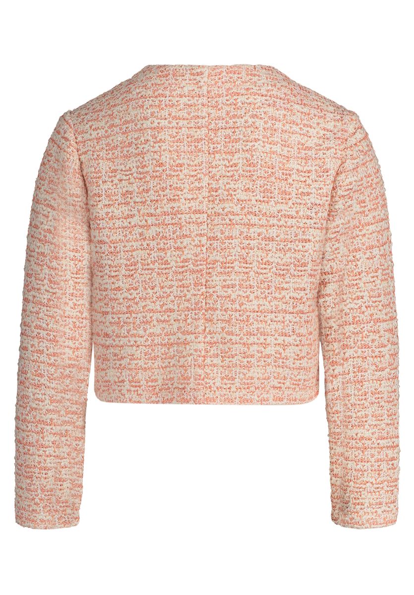 Blazer-Jacke
