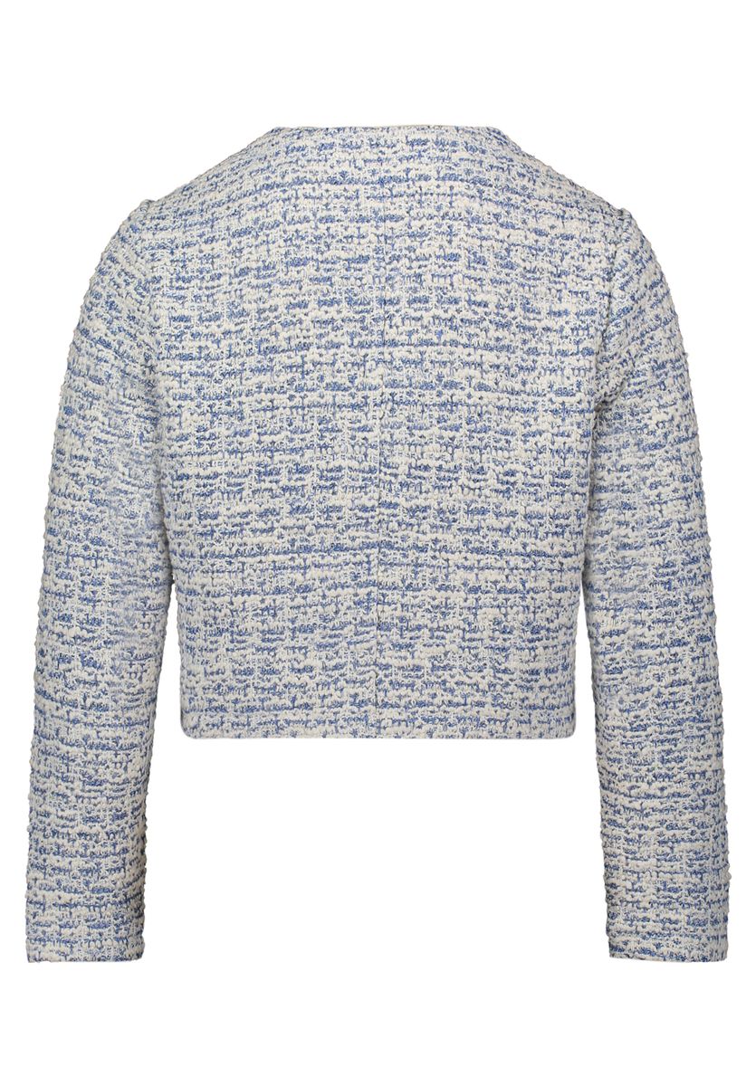 Blazer-Jacke