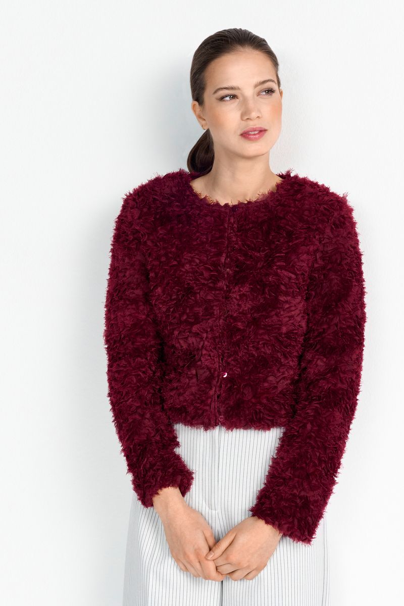 Short Lace Jacket