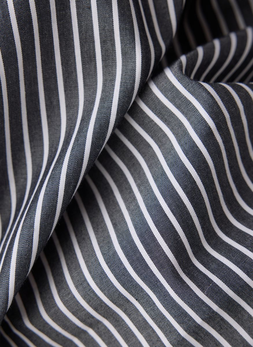 Zebra Noir