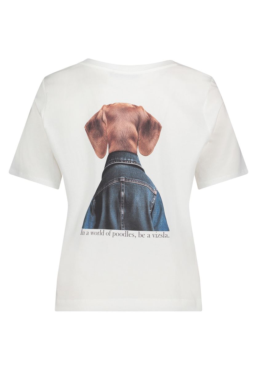 Casual-Shirt