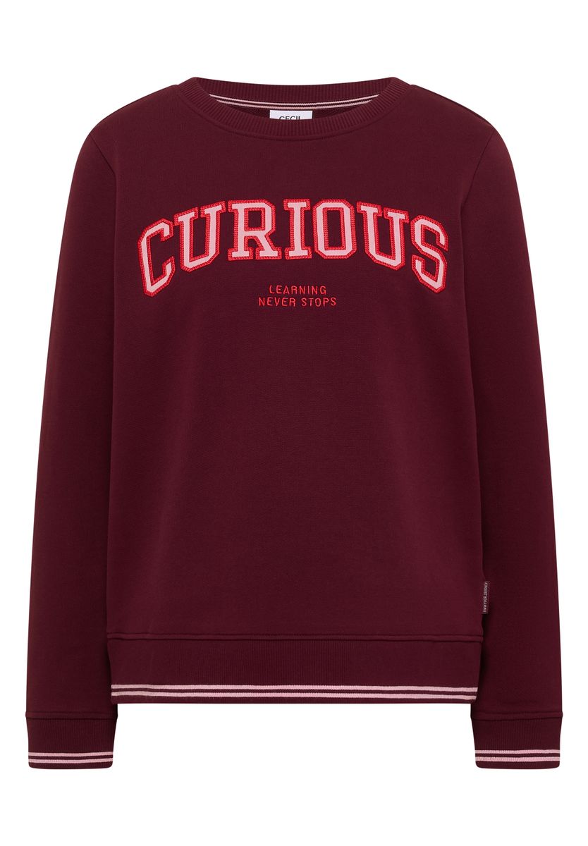 Sweatshirt mit Rundhals und Stickerei