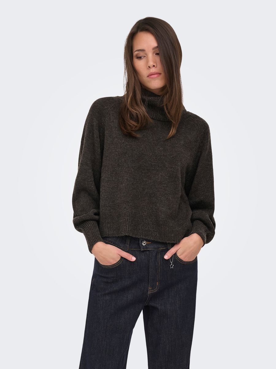 ONLOLIVIA LS ROLL NECK CC KNT